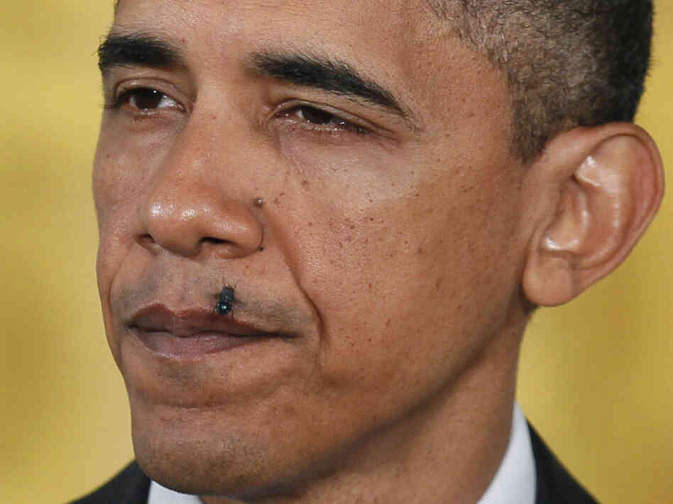 Fly lands on Obama Fly lands on Obama